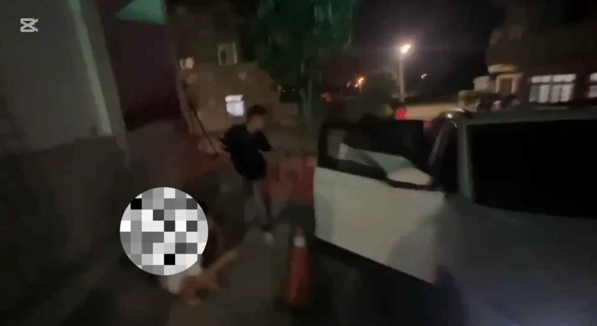 警方逮捕窃嫌。第二分局提供