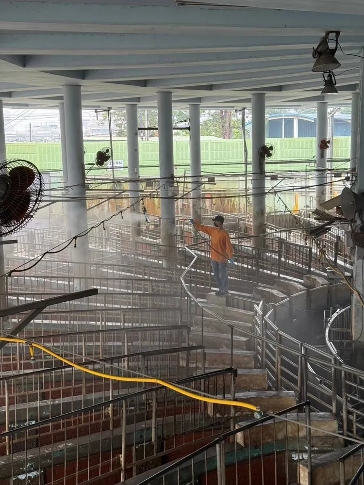 肉品市場將加強消毒防範。資照