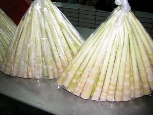 嘴饞偷1斤箭筍要回家煮 前科男被判3月 易科罰金可買200斤