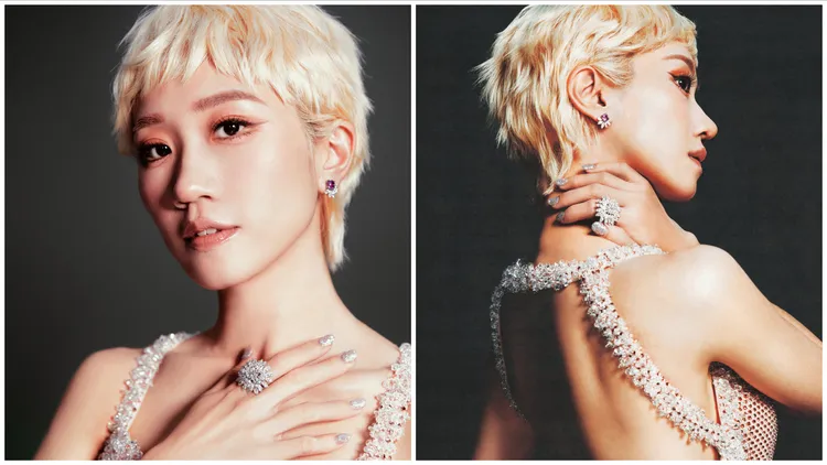 Lulu紅毯戴上PIAGET珠寶。攝影中心攝