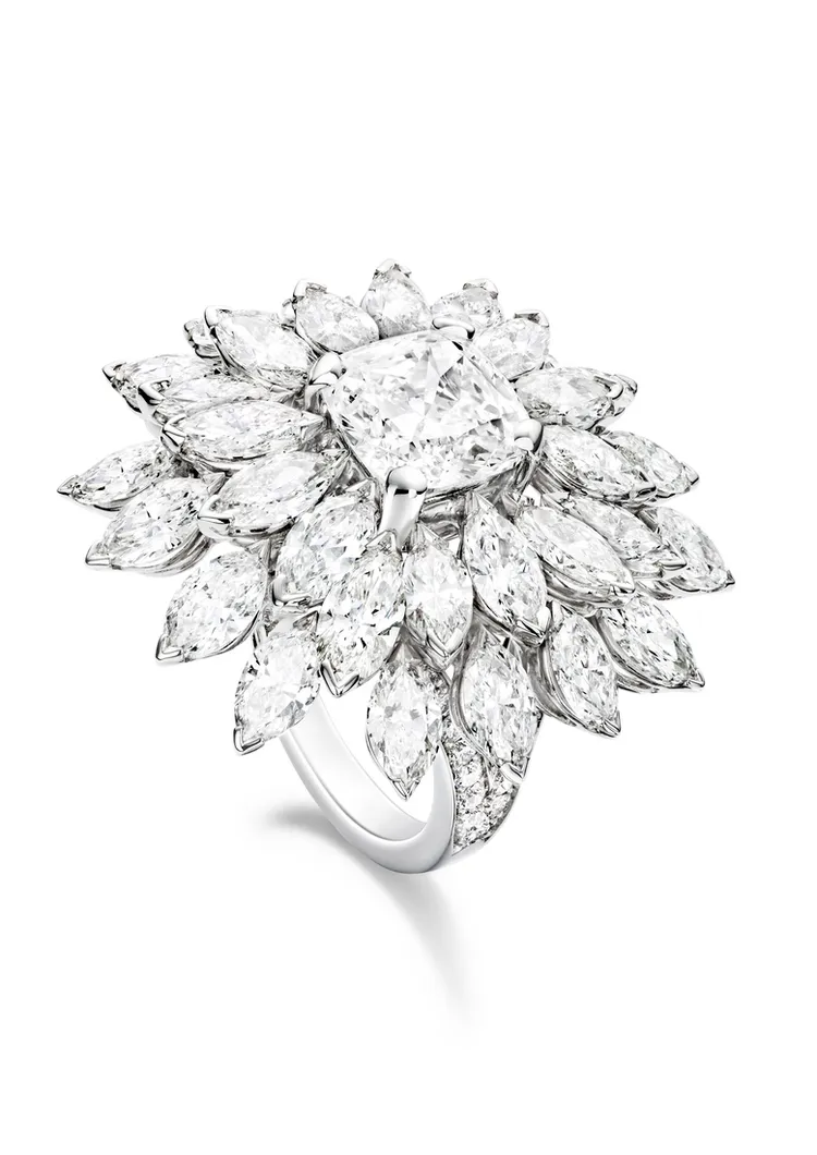 PIAGET Treasures 系列 18K白金鑽石戒指，1110萬元。品牌提供