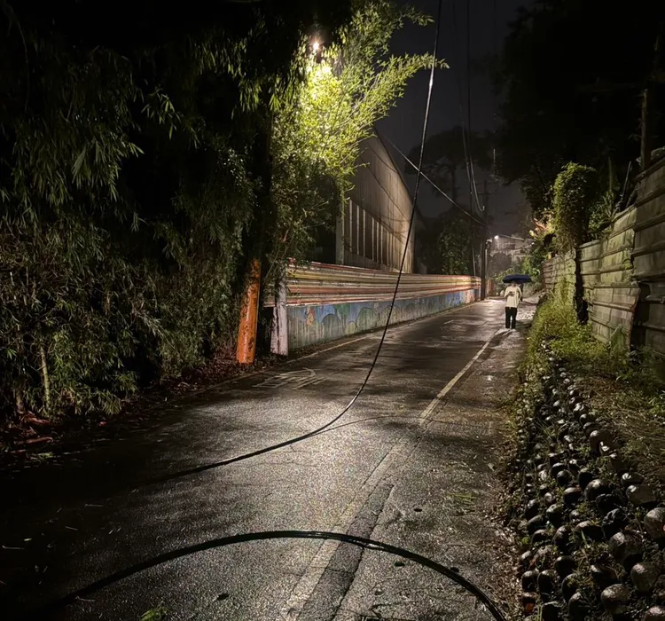 疑強風吹斷電線。桃園市消防局提供