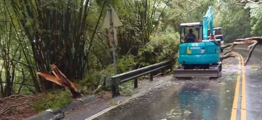 暴雨狂炸宜兰!大树不敌强风横躺北宜路中 双向车道一度受阻