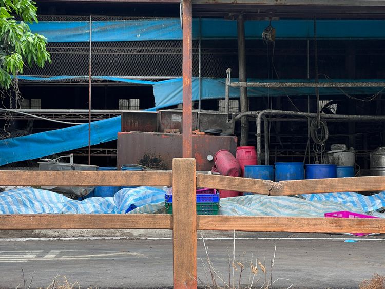 染疫豬場廚餘蒸煮紀錄2個月僅上傳1次 中市府:老農不熟網路