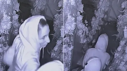 情侶潛餐廳行竊「到門口先嘿咻」 女老闆笑:滿滿玫瑰布置太浪漫