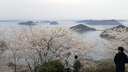 公司喊預算不夠「墾丁4天改去日本5天」 林氏璧:好想到這公司上班
