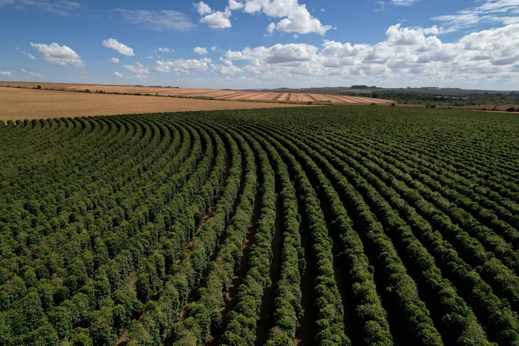 巴西咖啡是美國的最大輸入來源。路透社
