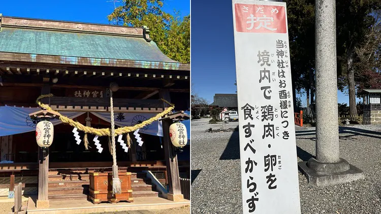 下野國鷲宮神社提醒遊客們在神社範圍內不要吃雞製品。翻攝自下野國鷲宮神社X
