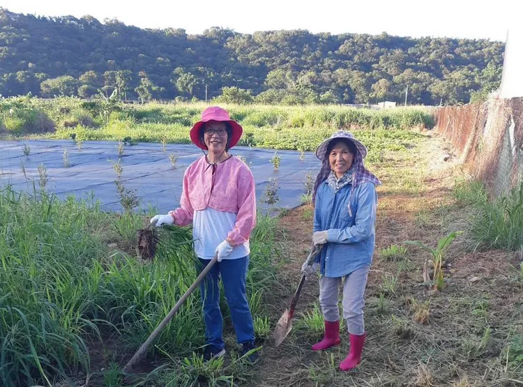 蔡壁如體驗農務生活。翻攝自蔡壁如臉書