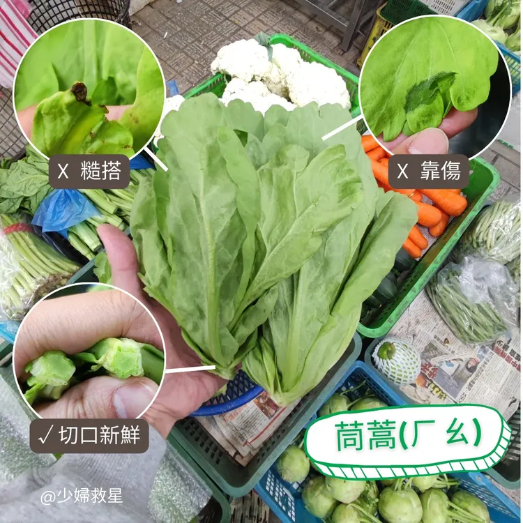 冬天吃火鍋必備的茼蒿上市，菜販分享挑選原則。翻攝自廖炯程臉書