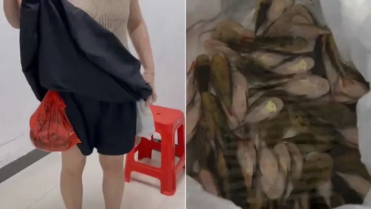 女子裙子裡藏了229條活魚。翻攝自微博