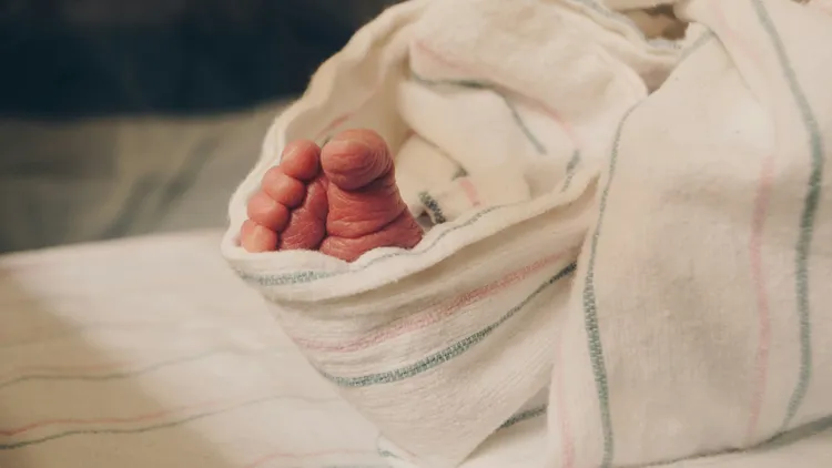 示意图。翻摄自Unsplash