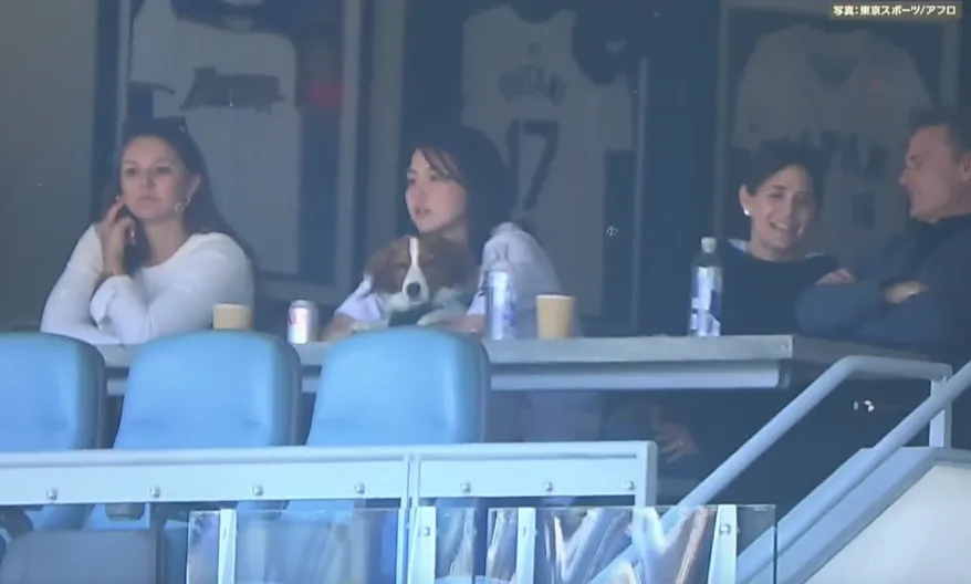 真美子和愛犬在包廂裡看球。  翻攝DecoOhtani117 IG