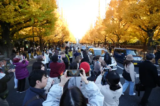 在日中國人將越來越少！日中關係惡化　中方教育部發布留學預警