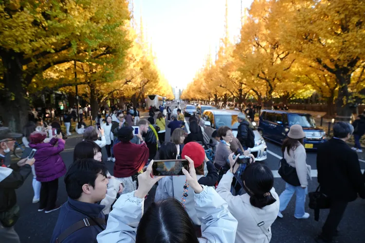 日本东京街景。美联社