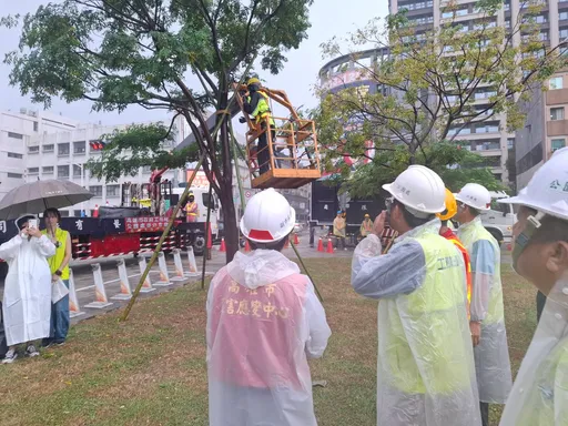 凤凰台风来袭！林钦荣副市长视察绿园道　加强督导路树安全