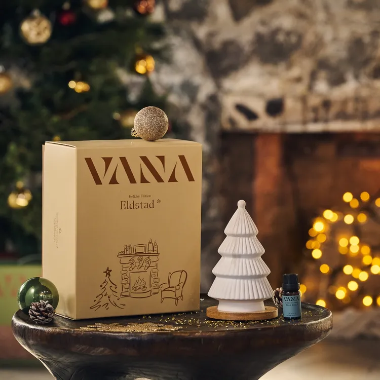 VANA聖誕樹擴香石香氛精油禮盒A（柑橘森林調），1090元。品牌提供