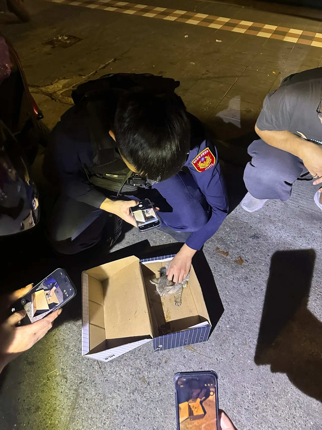 幼猫躲汽车引擎室，警民协力救出幼猫那刻，嗷嗷的猫叫声都让在场众人心融化了。翻摄画面