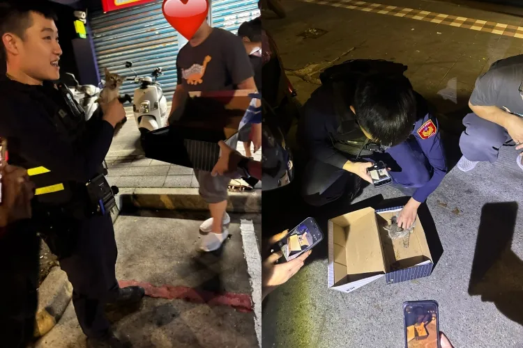 幼猫躲汽车引擎室，警民协力救出幼猫那刻，嗷嗷的猫叫声都让在场众人心融化了。翻摄画面