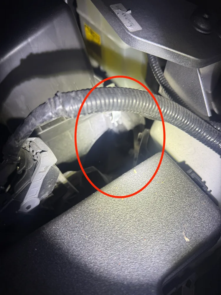 幼貓躲汽車引擎室，警民協力救出幼貓那刻，嗷嗷的貓叫聲都讓在場眾人心融化了。翻攝畫面