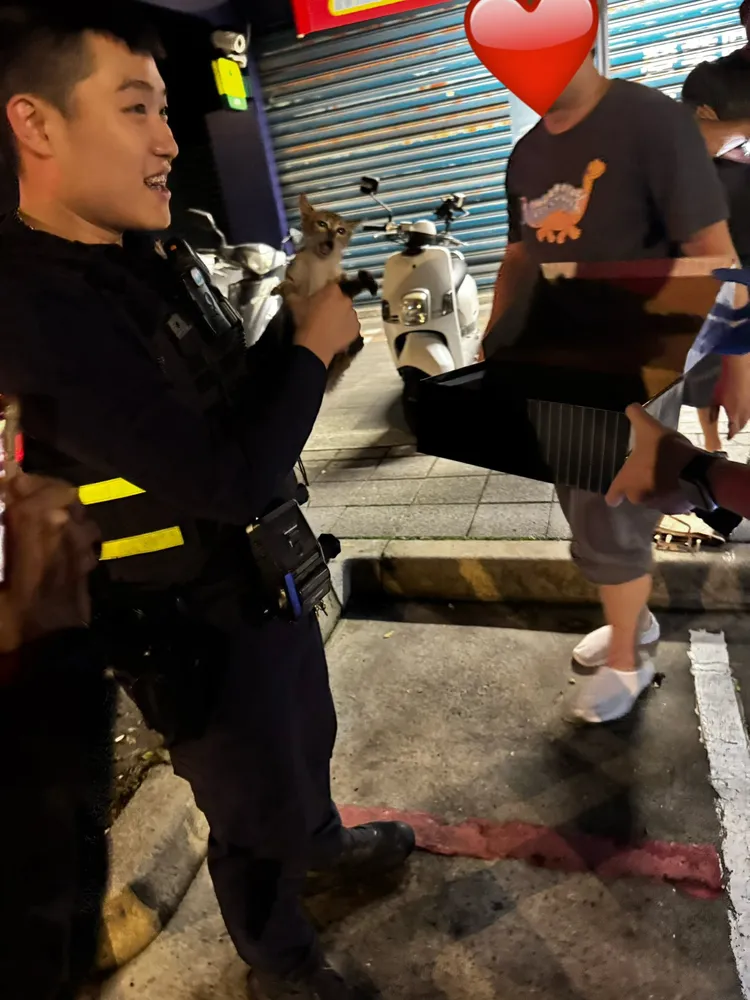 幼貓躲汽車引擎室，警民協力救出幼貓那刻，嗷嗷的貓叫聲都讓在場眾人心融化了。翻攝畫面