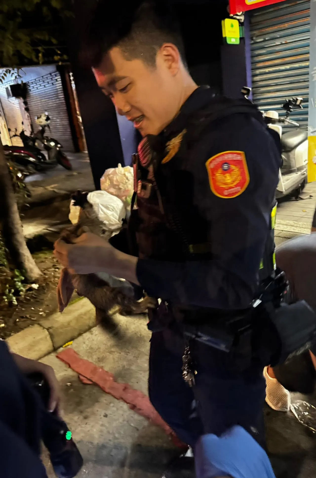 幼猫躲汽车引擎室，警民协力救出幼猫那刻，嗷嗷的猫叫声都让在场众人心融化了。翻摄画面
