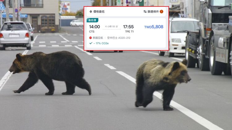 北海道機票驚見5字頭價格!他問「熊害還能去嗎」?內行人解答