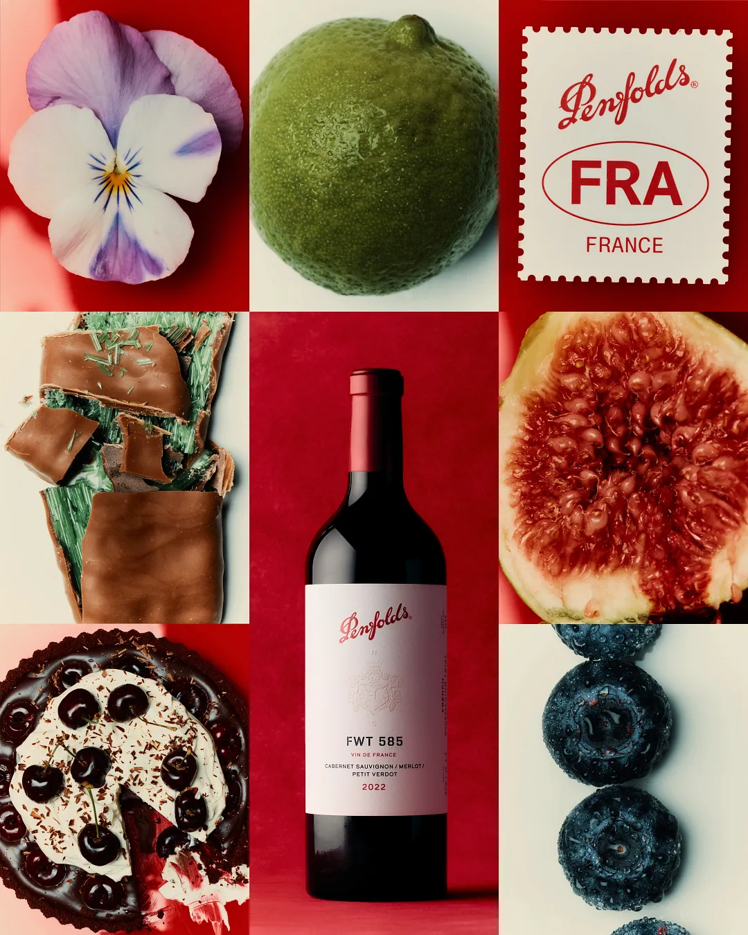 FWT 585以花瓣、青檸、無花果與藍莓構成風味拼貼，呈現波爾多果香與奔富調配美學的完美融合。業者提供