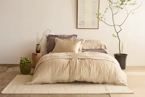 HOLA搭普发万元商机　绑定会员零门槛快闪送万元购物金倒数2天　