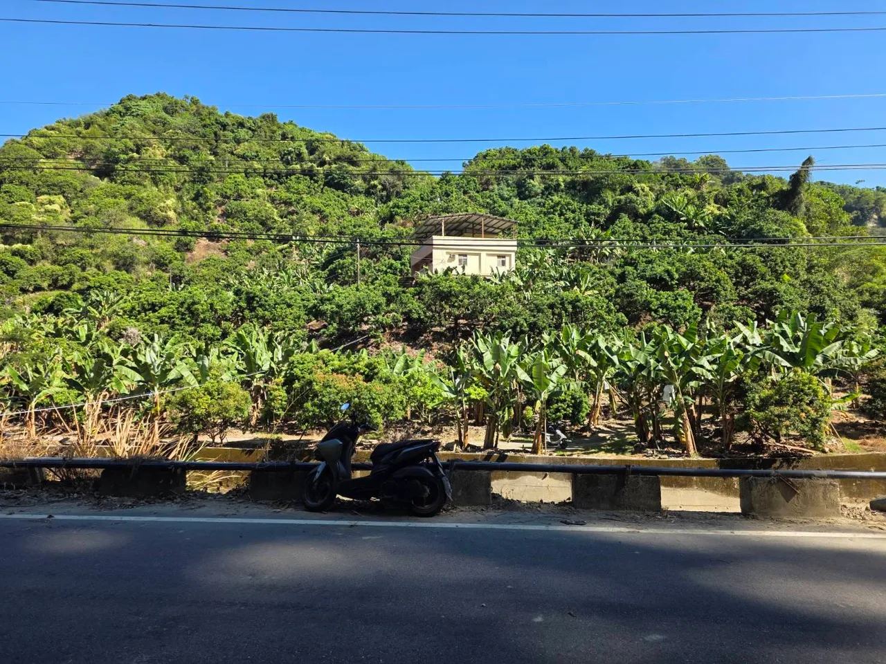 郑女机车撞上护栏，人摔入边坡送医不治。民众提供