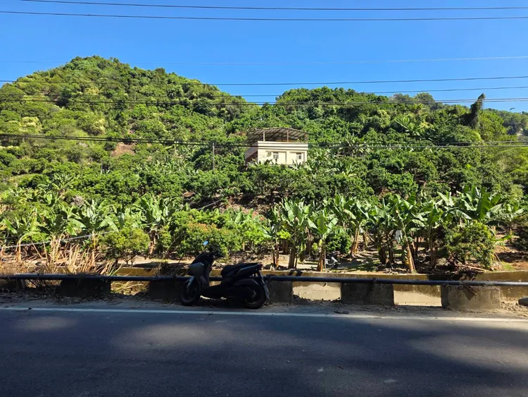 鄭女機車撞上護欄，人摔入邊坡送醫不治。民眾提供