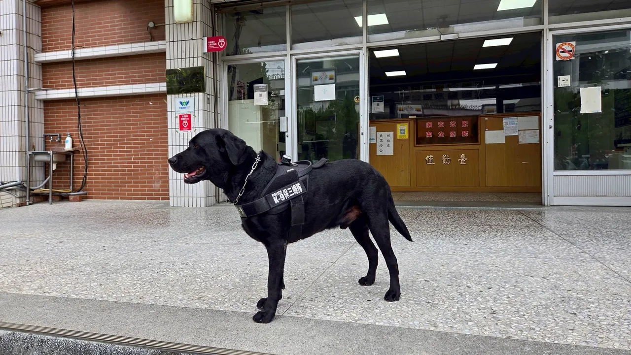 专案小组特别申请保三总队缉毒犬「云斯顿」支援，让犯嫌在仓库藏放的毒品无所遁形。翻摄照片