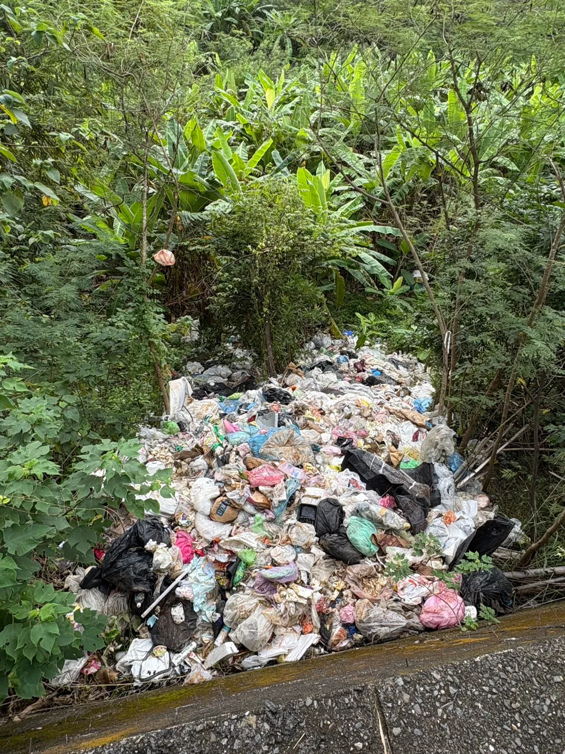 燕巢月世界山坡日前遭恶意弃置垃圾。翻摄画面