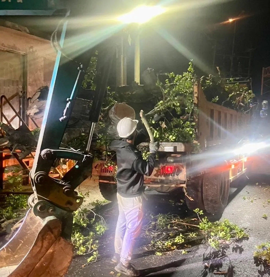 清除倒塌路樹。新竹市府提供