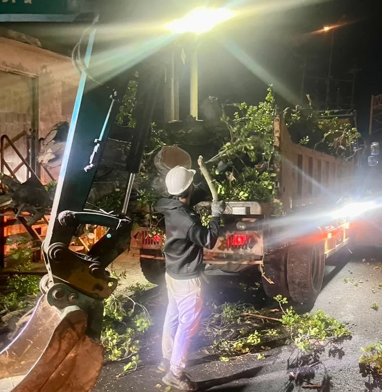 清除倒塌路樹。新竹市府提供