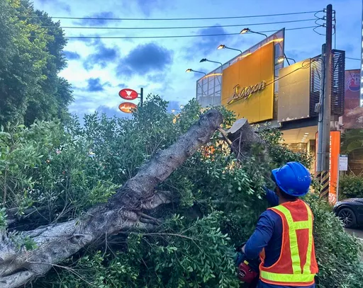 凤凰台风来袭！　竹市树倒、围墙倒塌61起灾情已全数排除
