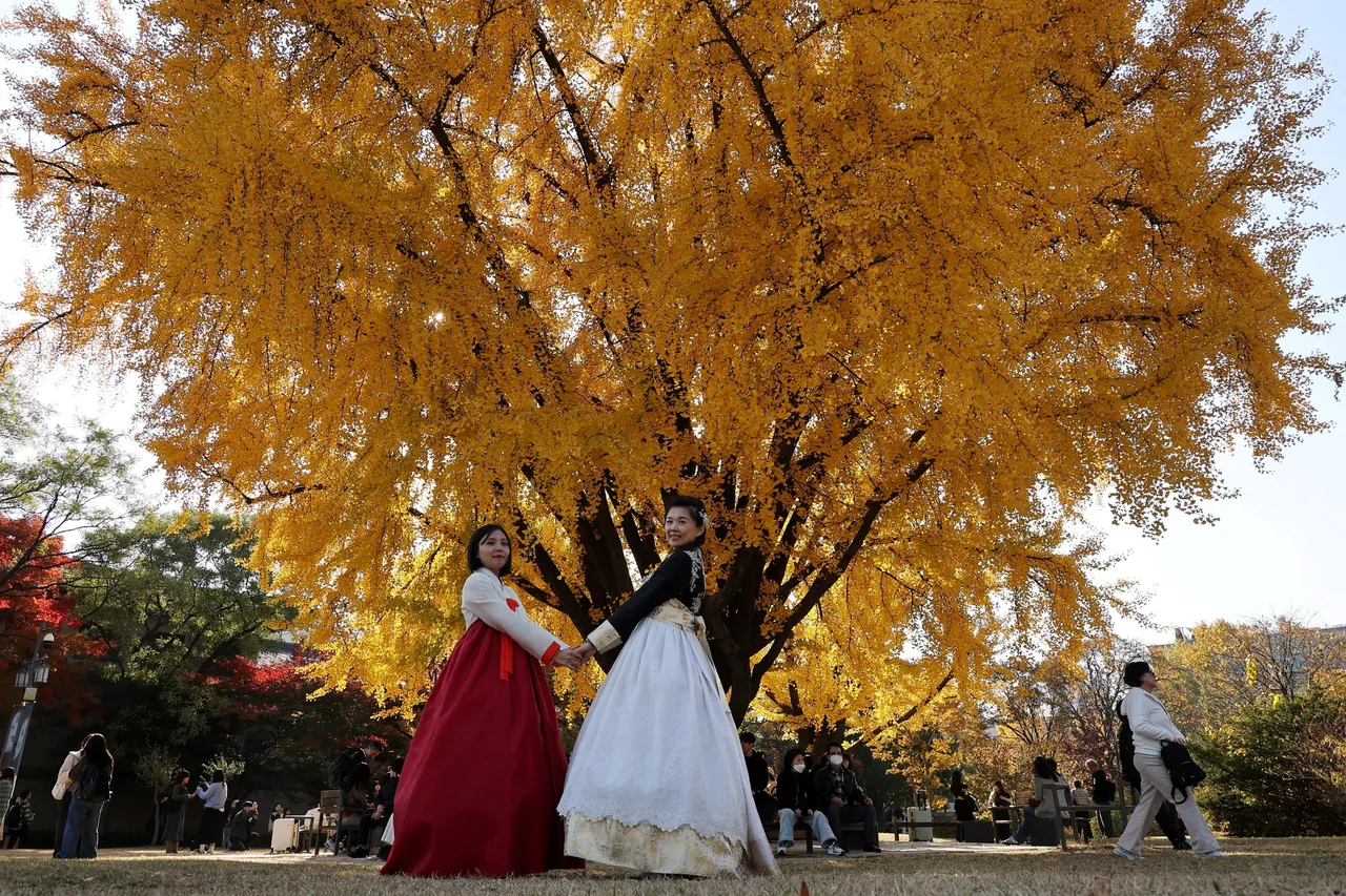 旅游注意！韩国首尔地铁2大工会　预告12/12起全面罢工