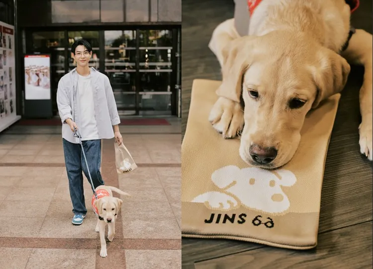 2025 JINS X 导盲犬公益协会推出全新针织提袋，邀请准爸爸连晨翔担任公益代言人，双面狗狗图案设计超疗愈，背上它就像小狗趴在身边陪伴守护。