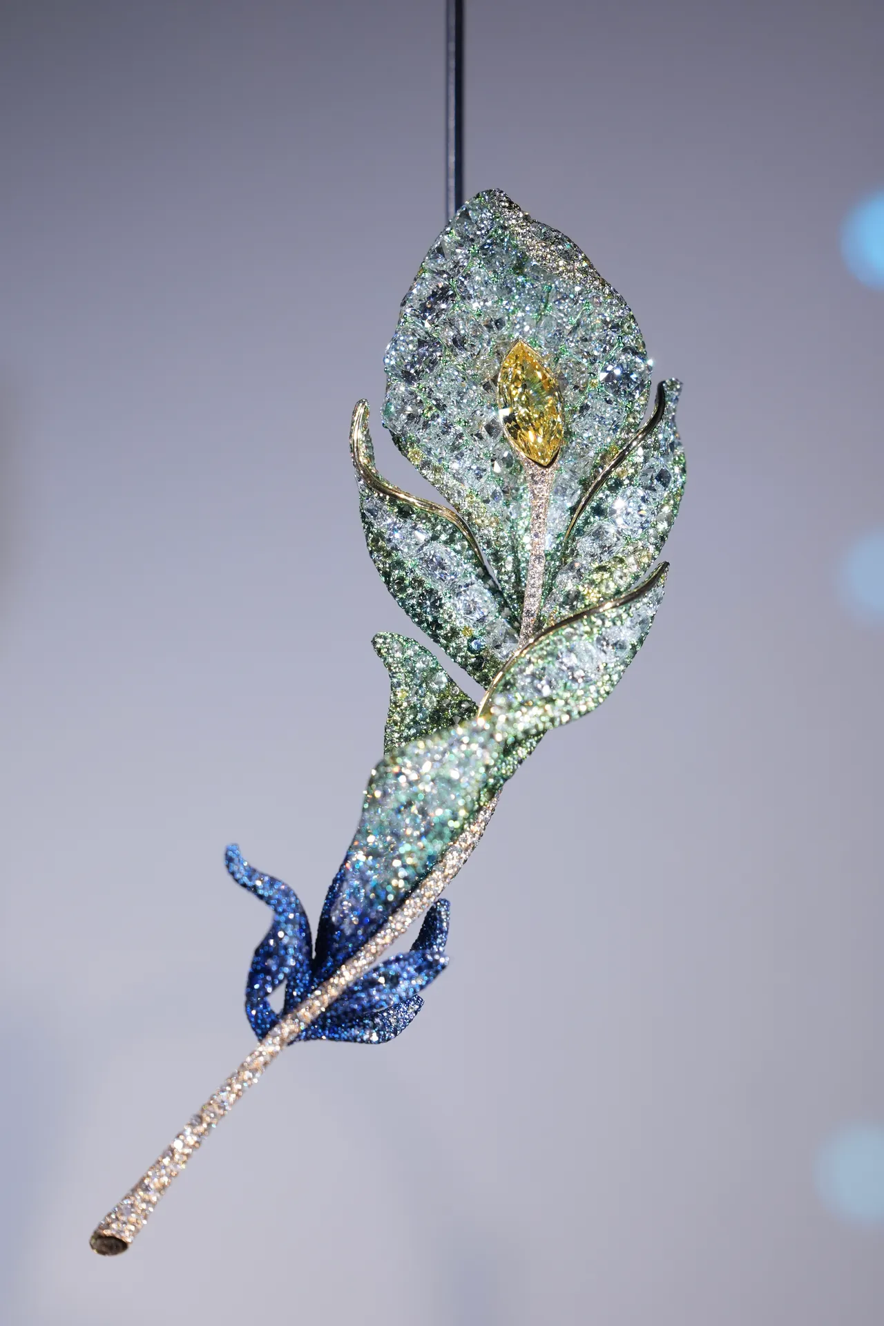 20周年系列羽毛胸针，色彩渐层犹如将莫内的画作浓缩于珠宝中。庄宗达摄