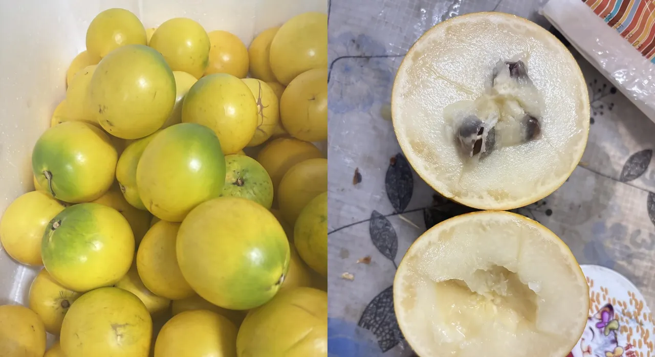 为招待美侨胞去龟吼渔港　买4颗「黄金果」近千元！干哥：坑杀观光客