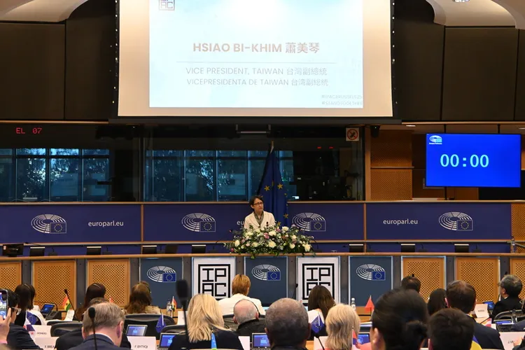 萧美琴成为首位在欧洲议会演说的台湾现任副总统。中央社