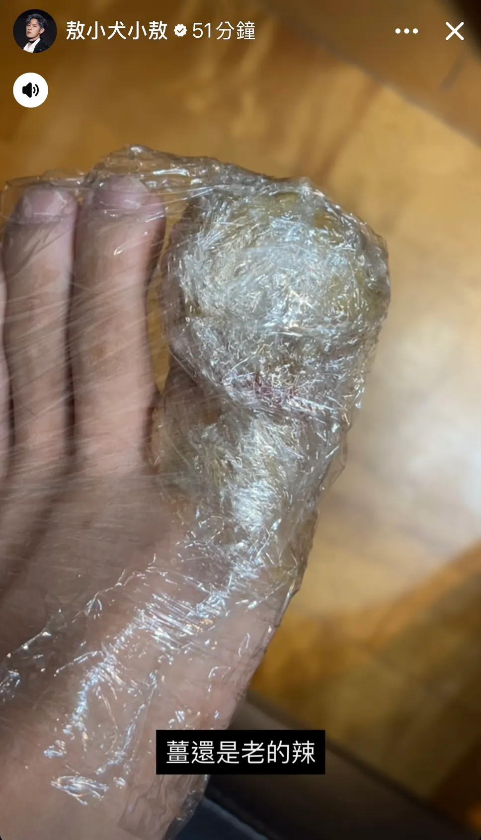 敖犬被透明保鮮膜包住的樣子令人發笑。翻攝敖犬IG限動