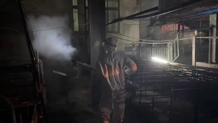 台中市梧栖区1间养猪场出现非洲猪瘟，经移除杂物及清洁，化学兵10月31日进场消毒（图），11月3日将再检测，如果是阴性，7天后验第2次。农业部提供