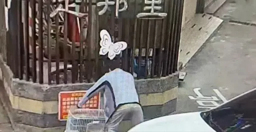 基隆路边惊见「数十只弃兔」！铁笼贴「爱心领养」引众怒　动保所说话了