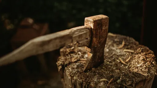 女师拒野外分手砲　60岁软饭男「挥斧狂砍脑袋」当场杀了她