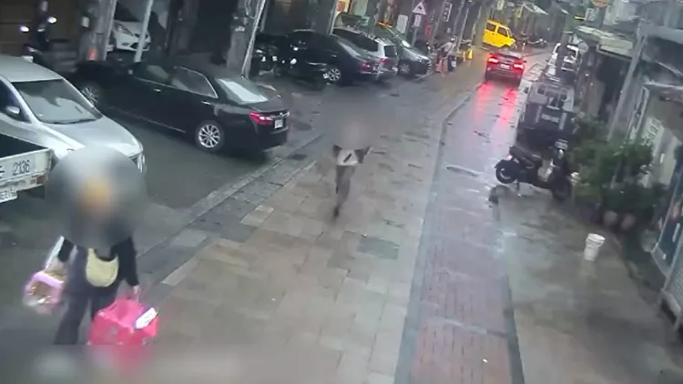 雙方返回住處時，林男追出拿雨傘暴打。翻攝畫面