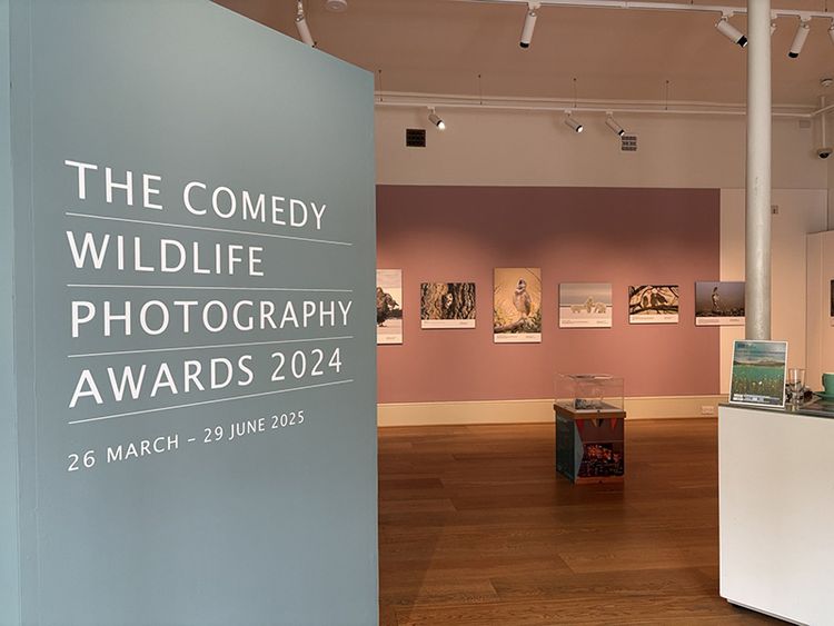 壹蘋派生活美語 野趣橫生:獨一無二的搞笑攝影賽