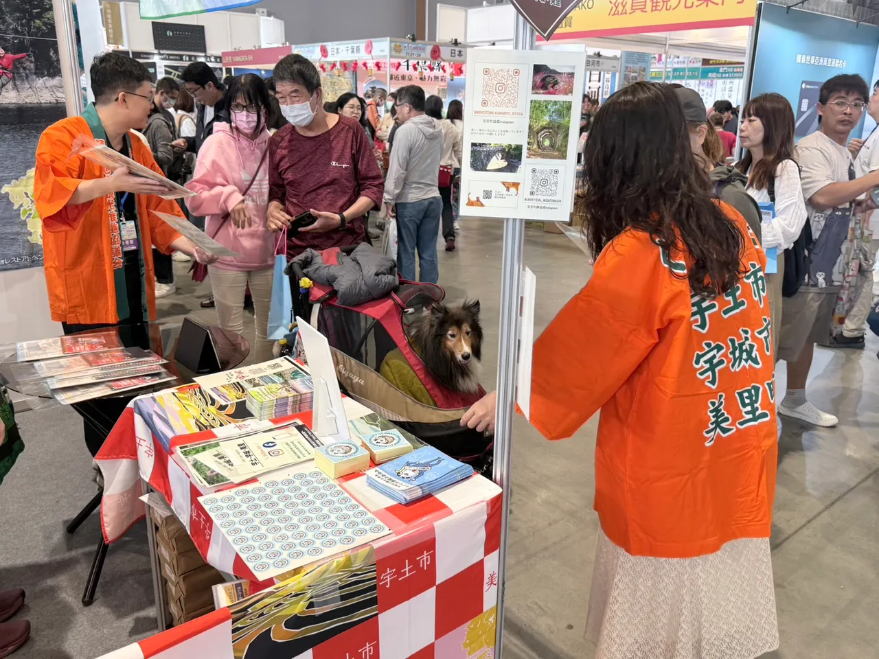 日本主題館吸引許多民眾一探究竟。莊曜聰攝