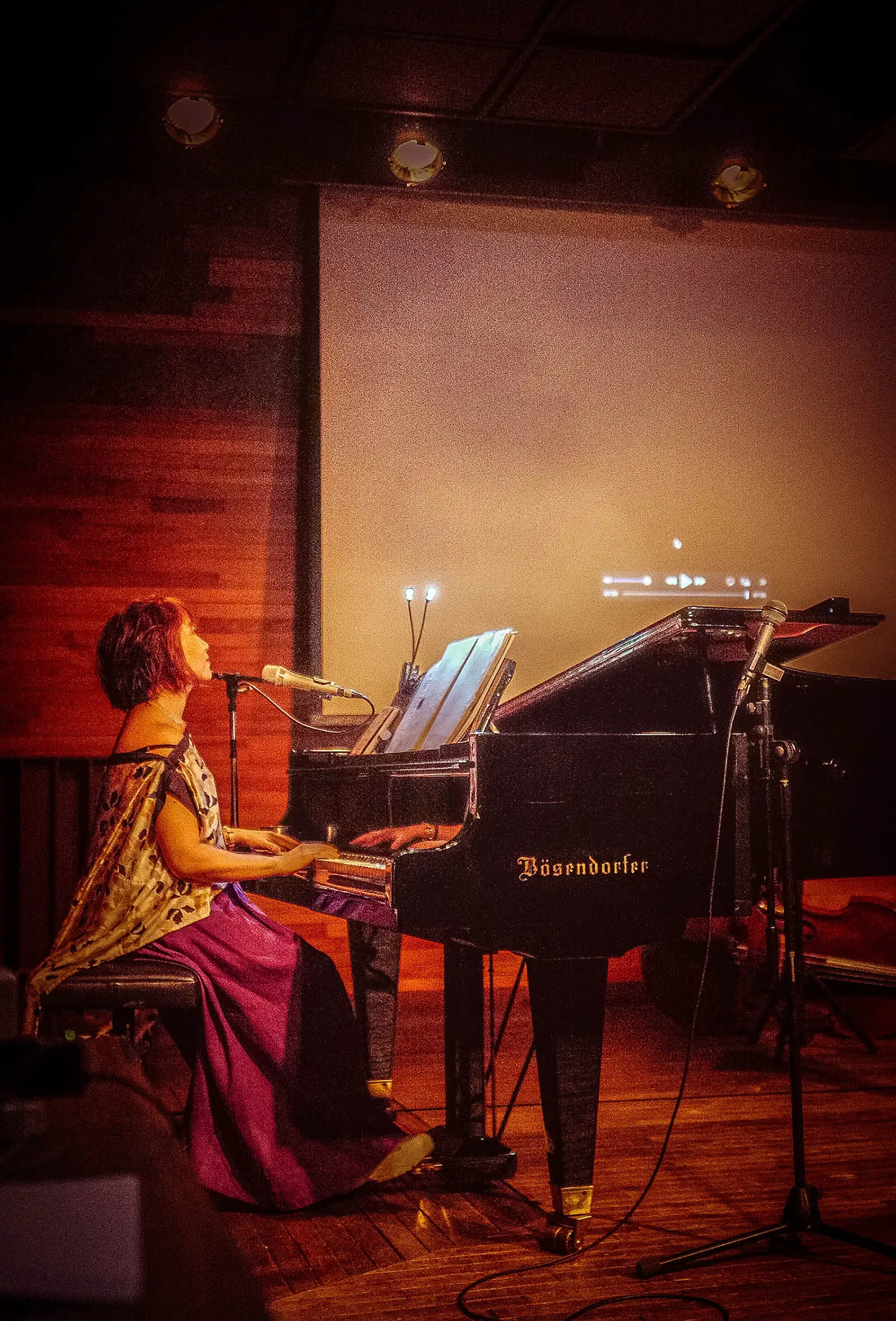 阮丹青日前开唱，2小时沉浸式演出，全程无尿点。罗艺 x 阮丹青工作室提供