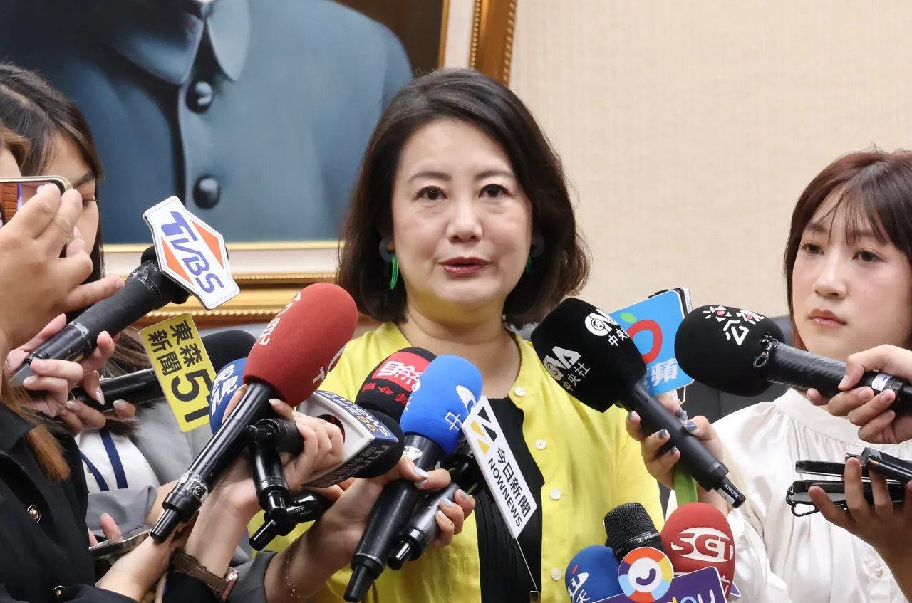 吳思瑤表示，藍白就是乞丐趕廟公，更是霸凌行政院。資料照片